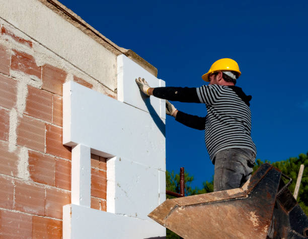 Best Insulation Installation Cost  in Prosper, TX